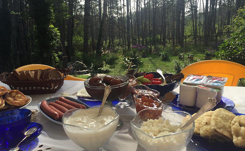 Breakfast in the forest